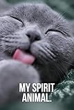 Algopix Similar Product 18 - My Spirit Animal Licking Russian Blue