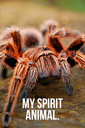 Algopix Similar Product 3 - My Spirit Animal: Tarantula Journal