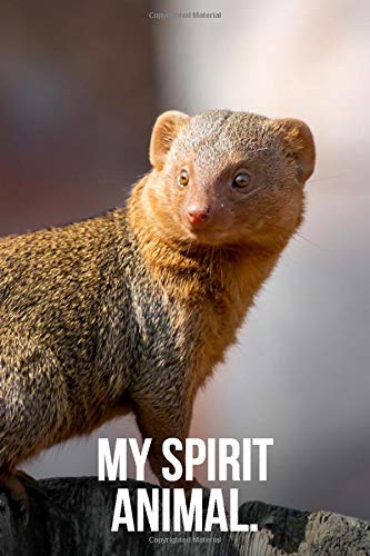 Algopix Similar Product 17 - My Spirit Animal: Mongoose Journal