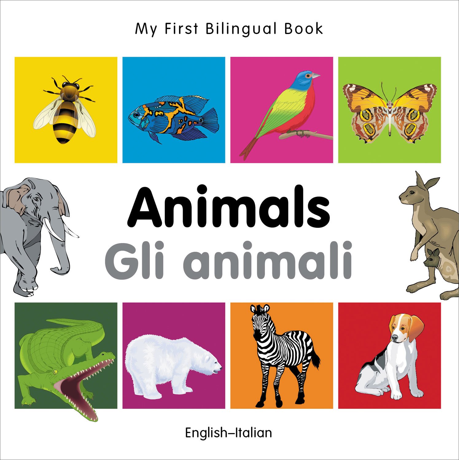 Algopix Similar Product 3 - My First Bilingual BookAnimals