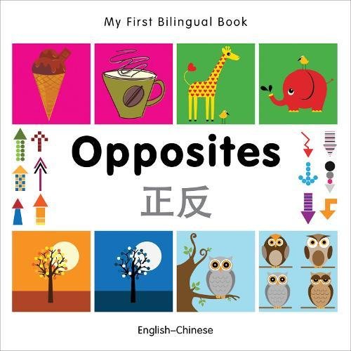 Algopix Similar Product 20 - My First Bilingual BookOpposites
