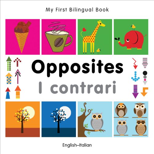 Algopix Similar Product 4 - My First Bilingual BookOpposites