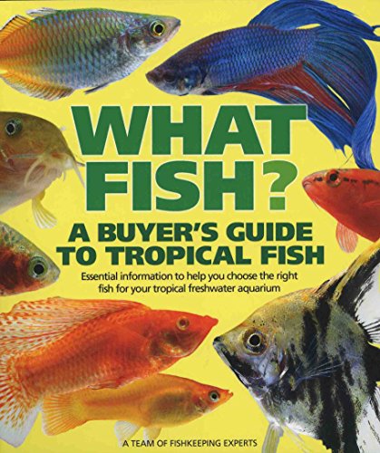 Algopix Similar Product 8 - What Fish A Buyers Guide to Tropical