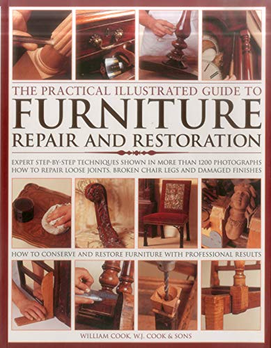 Algopix Similar Product 7 - The Practical Illustrated Guide to