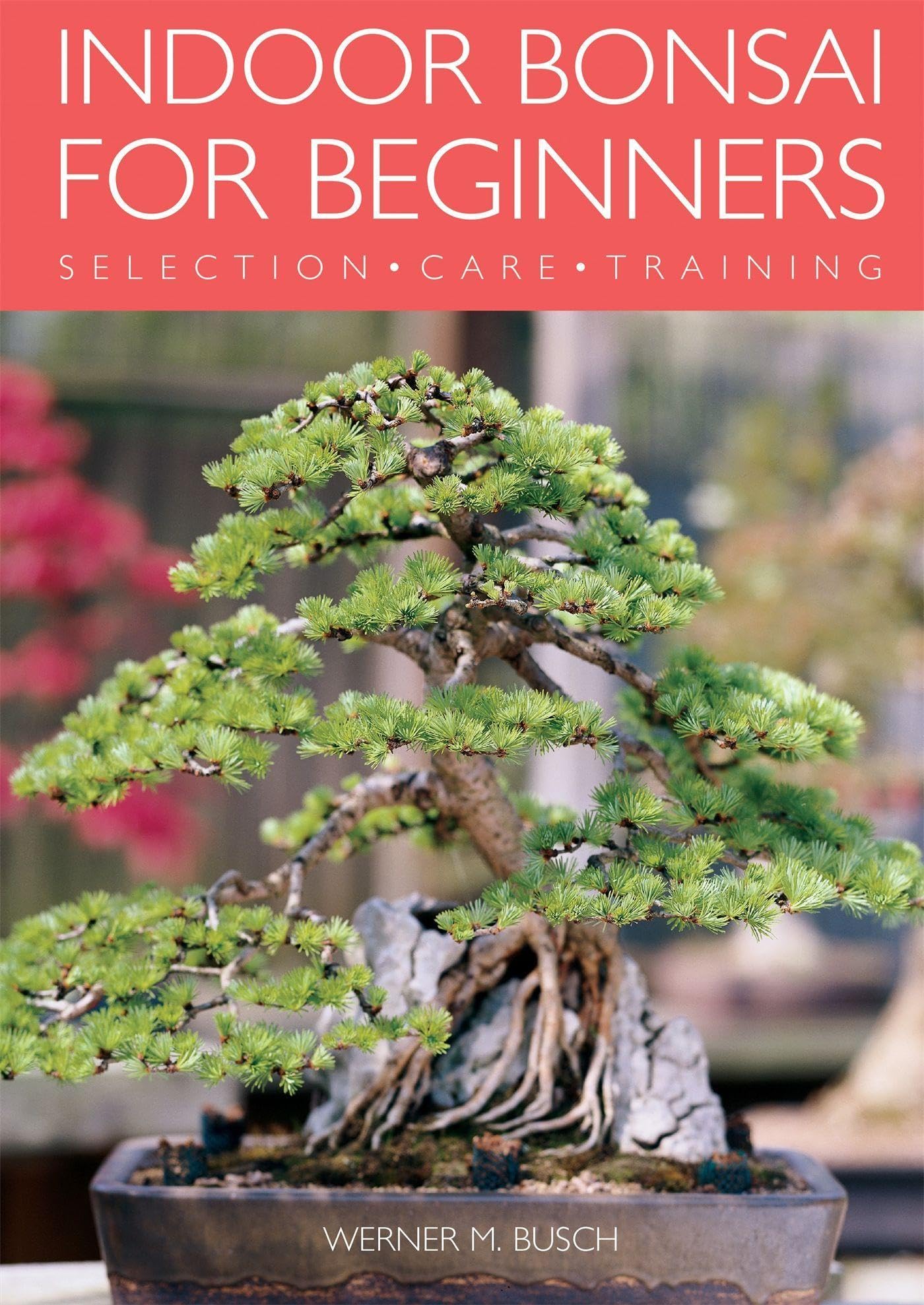 Algopix Similar Product 12 - Indoor Bonsai for Beginners Selection