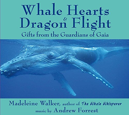 Algopix Similar Product 20 - Whale Hearts and Dragon Flight Gifts