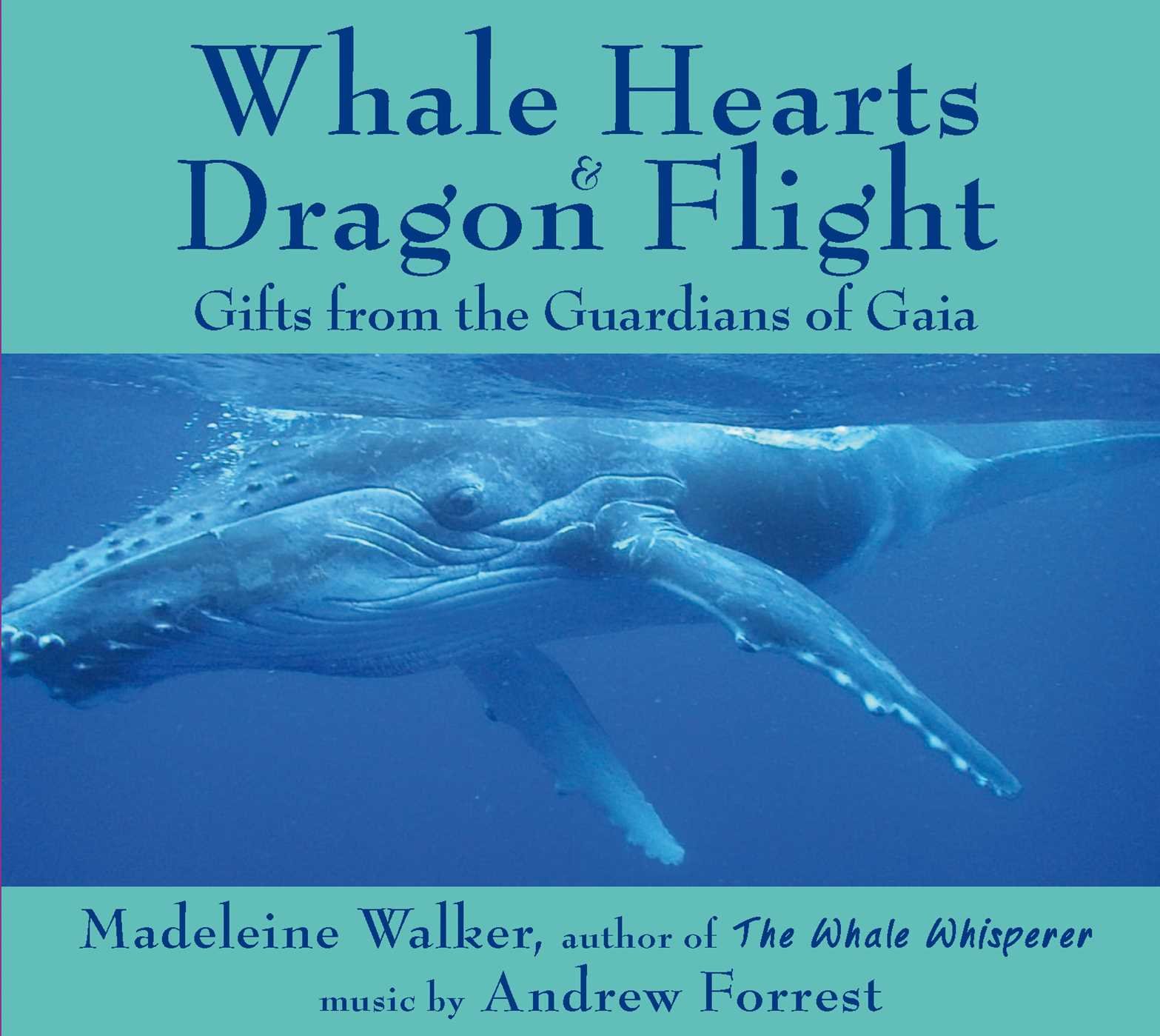 Algopix Similar Product 20 - Whale Hearts and Dragon Flight Gifts