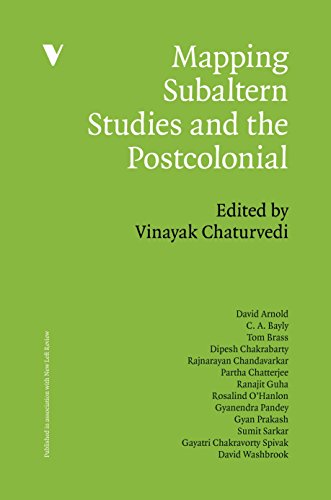 Algopix Similar Product 13 - Mapping Subaltern Studies and the