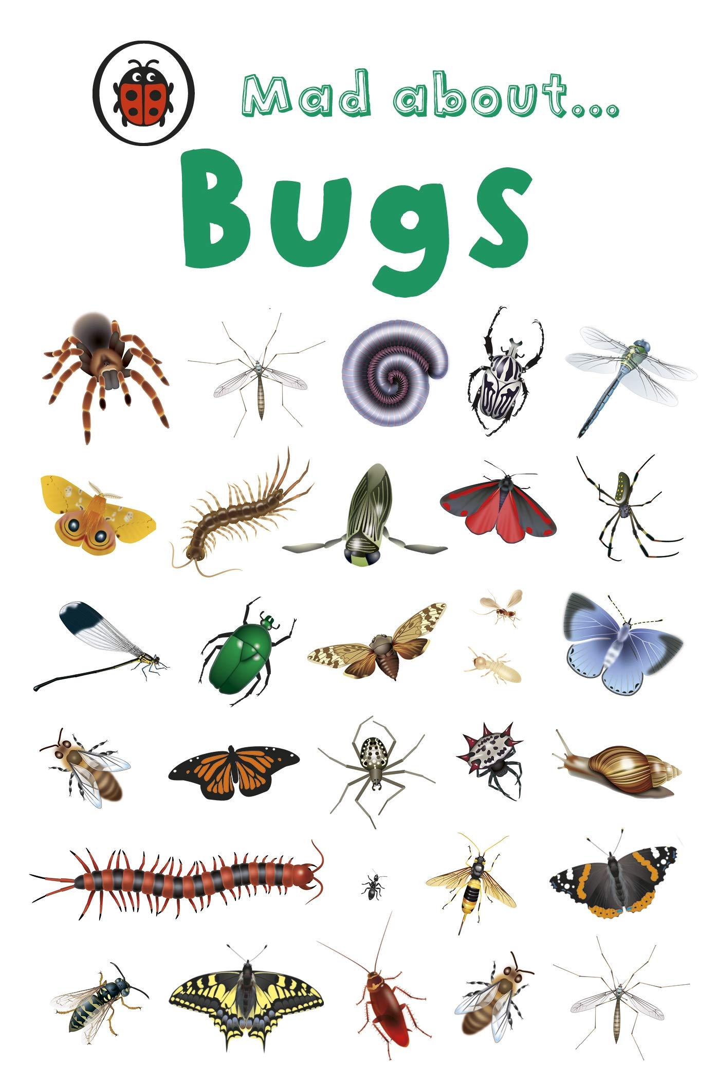 Algopix Similar Product 14 - Mad about Bugs (Mini)