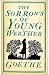 Algopix Similar Product 3 - The Sorrows of Young Werther