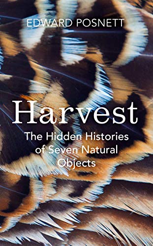 Algopix Similar Product 11 - Harvest The Hidden Histories of Seven