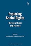 Algopix Similar Product 12 - Exploring Social Rights Between Theory