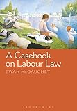Algopix Similar Product 8 - A Casebook on Labour Law
