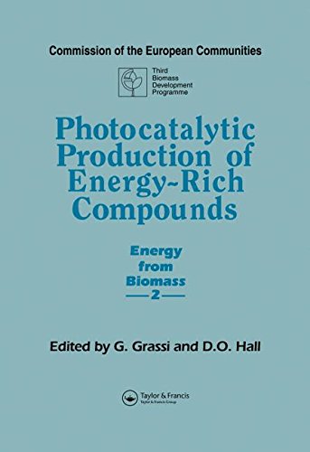 Algopix Similar Product 5 - Photocatalytic Production of