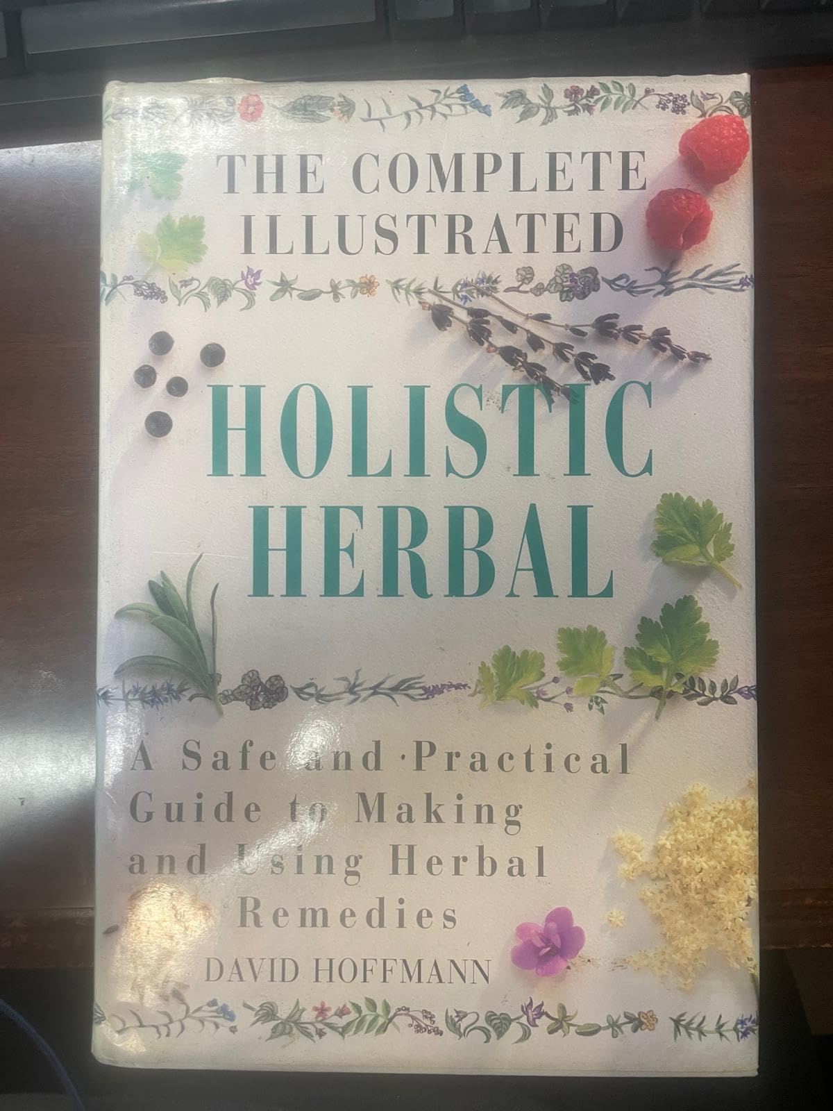 Algopix Similar Product 6 - The Complete Illustrated Holistic