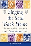 Algopix Similar Product 5 - Singing the Soul Back Home Shamanic