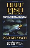 Algopix Similar Product 17 - Reef Fish Behavior Florida Caribbean