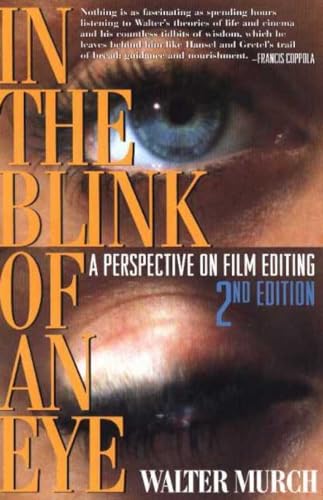 Algopix Similar Product 17 - In the Blink of an Eye A Perspective