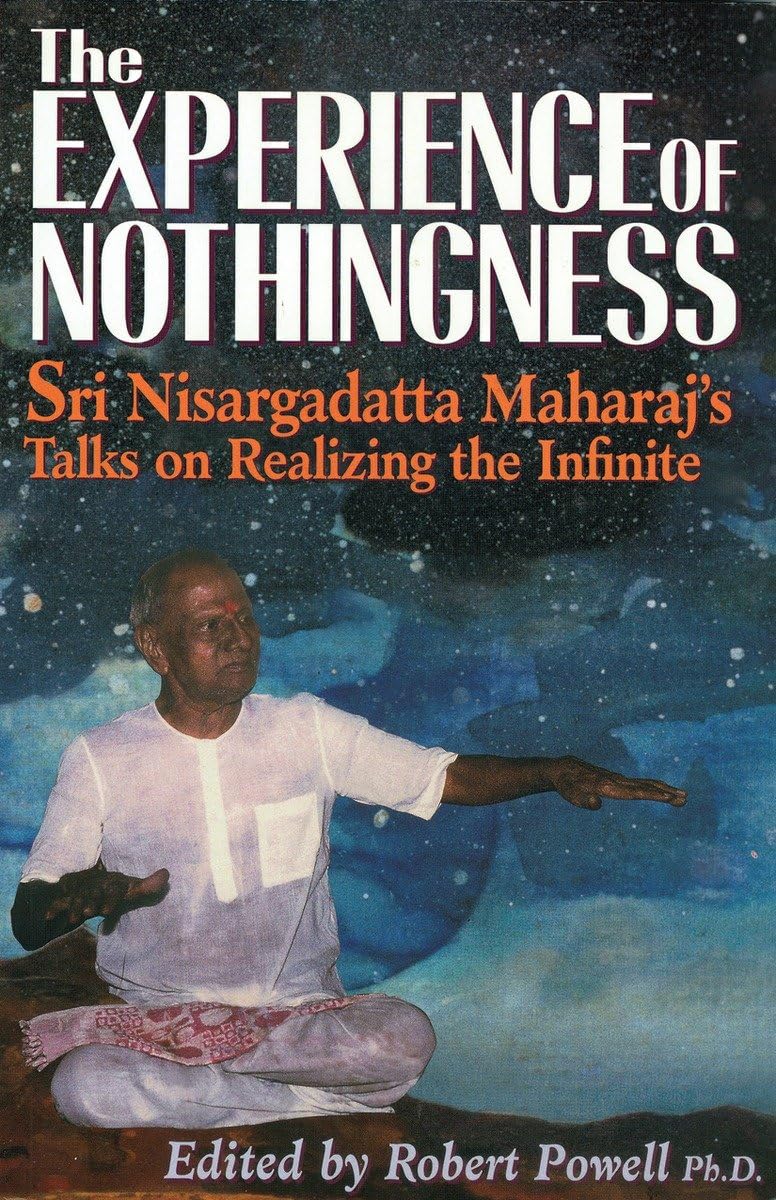 Algopix Similar Product 11 - The Experience of Nothingness Sri