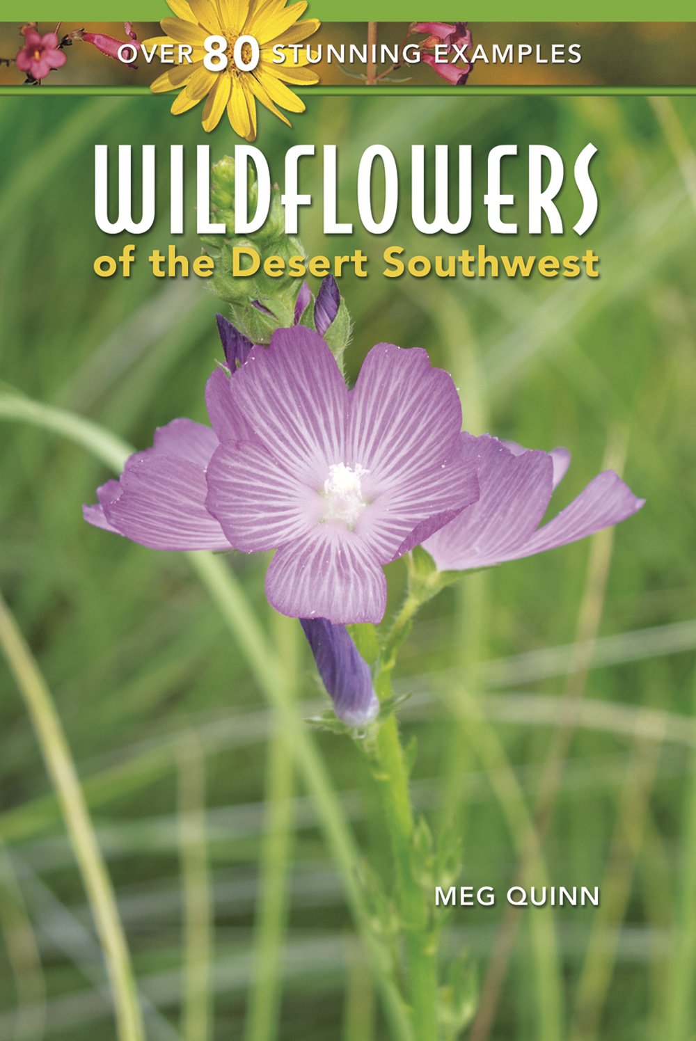 Algopix Similar Product 2 - Wildflowers of the Desert Southwest