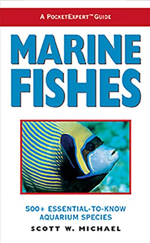 Algopix Similar Product 4 - A PocketExpert Guide to Marine Fishes
