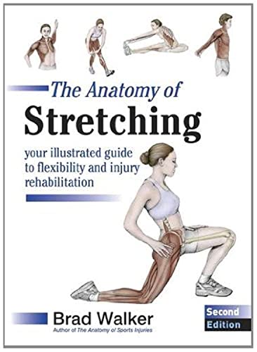Algopix Similar Product 4 - Anatomy Of Stretching 2nd
