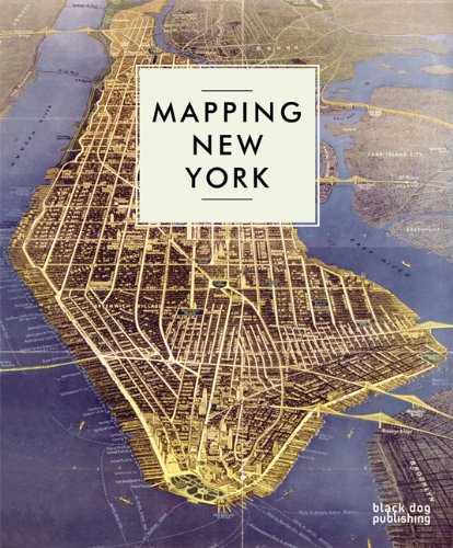 Algopix Similar Product 14 - Mapping New York