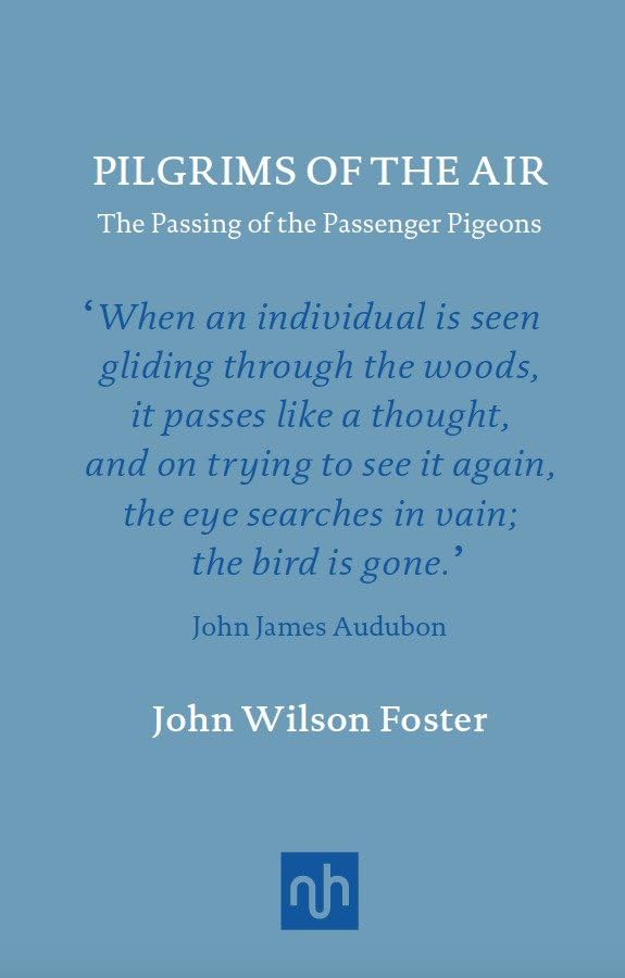 Algopix Similar Product 8 - Pilgrims of the Air The Passing of the