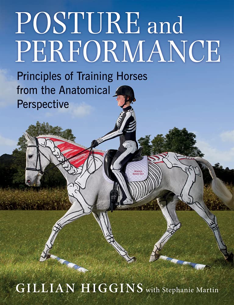 Algopix Similar Product 3 - Posture and Performance Principles of
