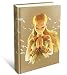 Algopix Similar Product 13 - The Legend of Zelda Breath of the Wild