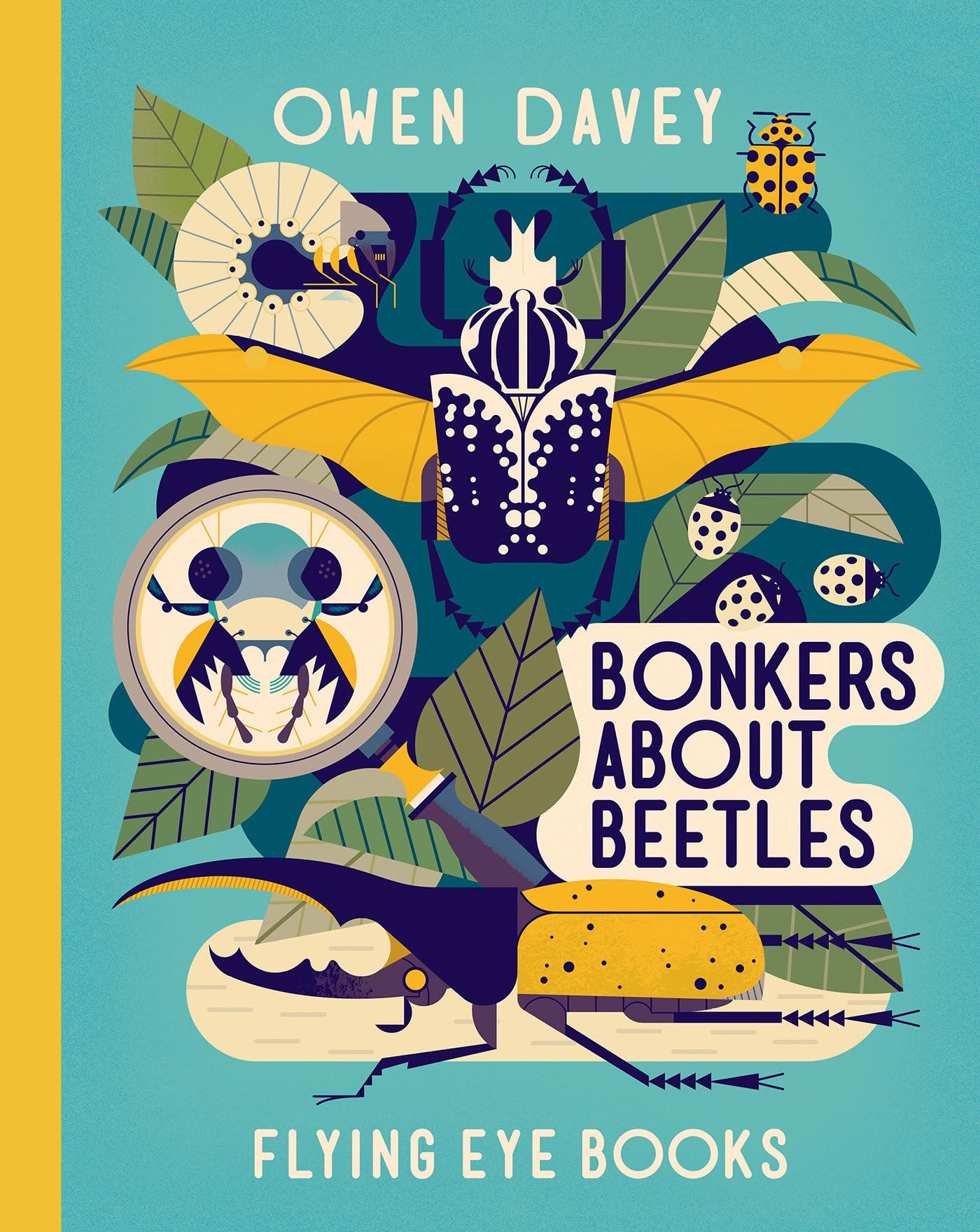 Algopix Similar Product 12 - Bonkers About Beetles (About Animals)