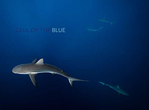 Algopix Similar Product 18 - Call of the Blue