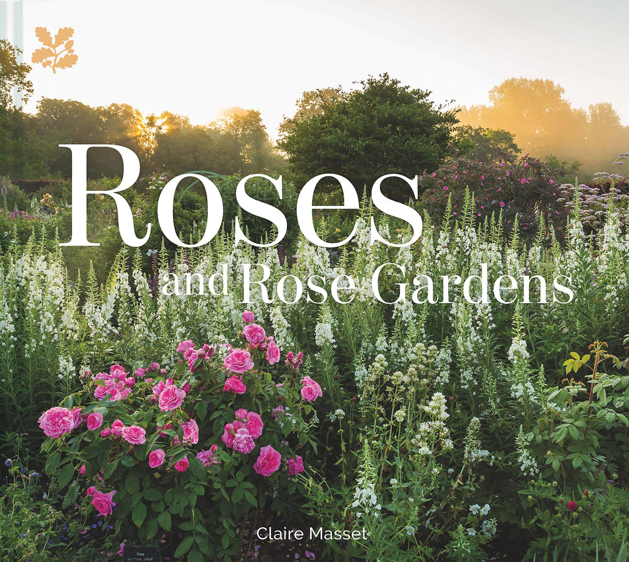 Algopix Similar Product 6 - Roses and Rose Gardens