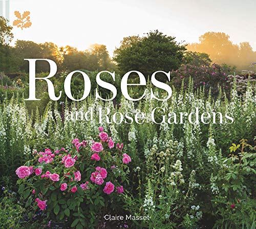 Algopix Similar Product 11 - Roses and Rose Gardens
