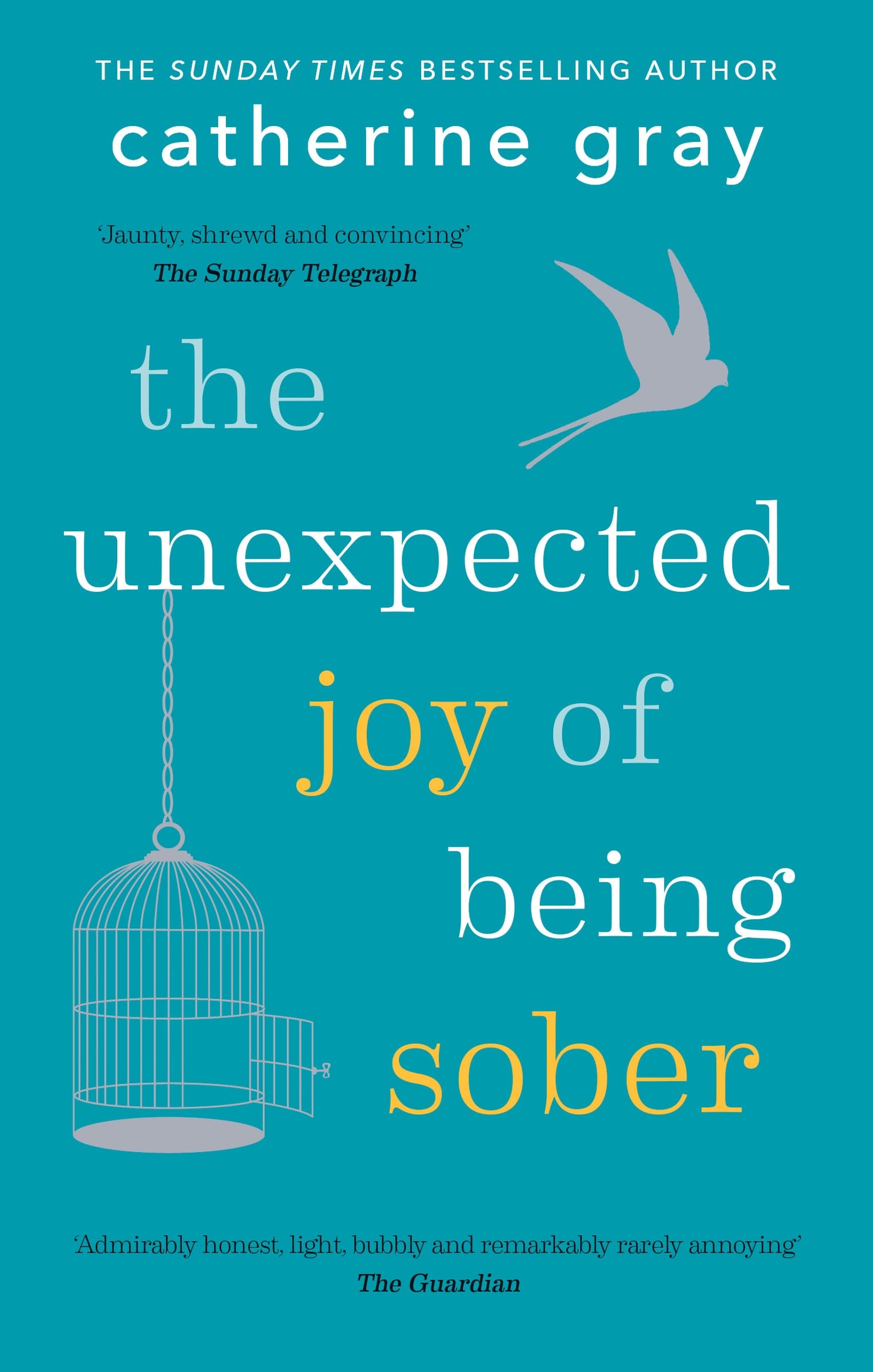 Algopix Similar Product 7 - The Unexpected Joy of Being Sober