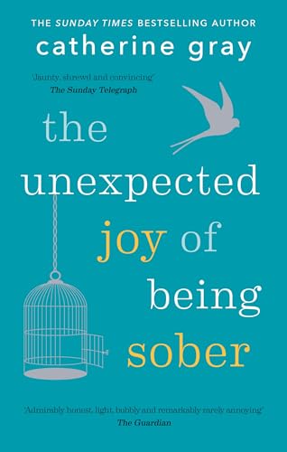 Algopix Similar Product 7 - The Unexpected Joy of Being Sober