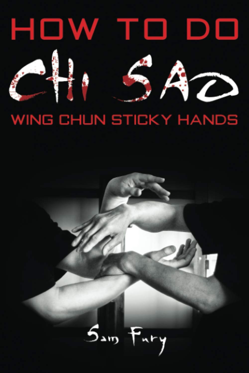 Algopix Similar Product 6 - How To Do Chi Sao Wing Chun Sticky