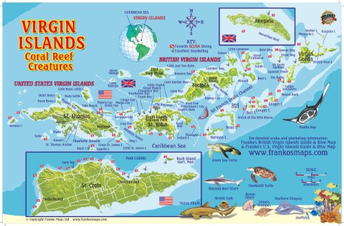 Algopix Similar Product 13 - Virgin Islands Map  Coral Reef