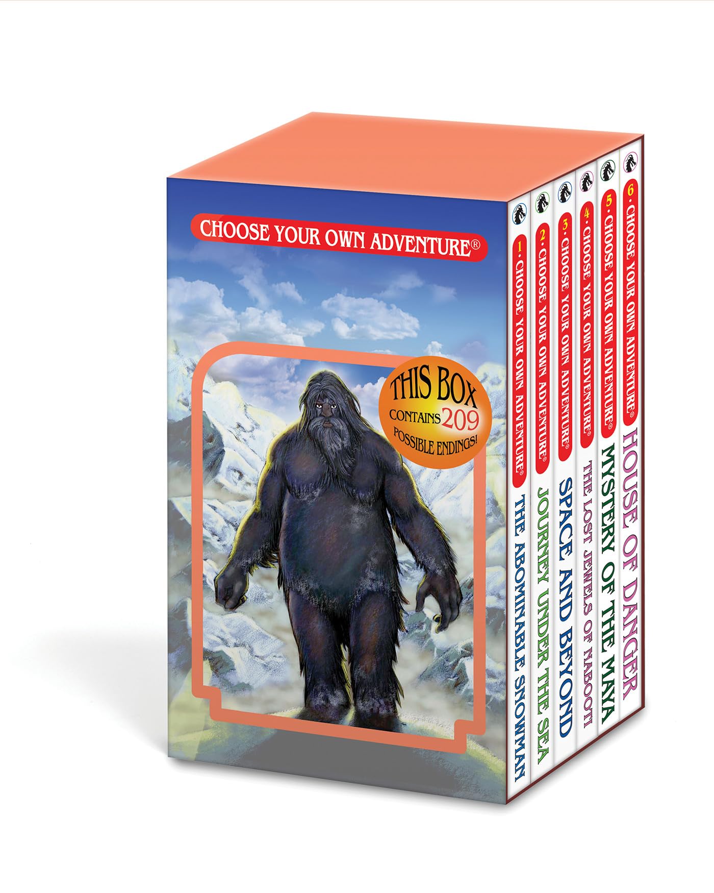 Algopix Similar Product 3 - Choose Your Own Adventure 6Book Boxed