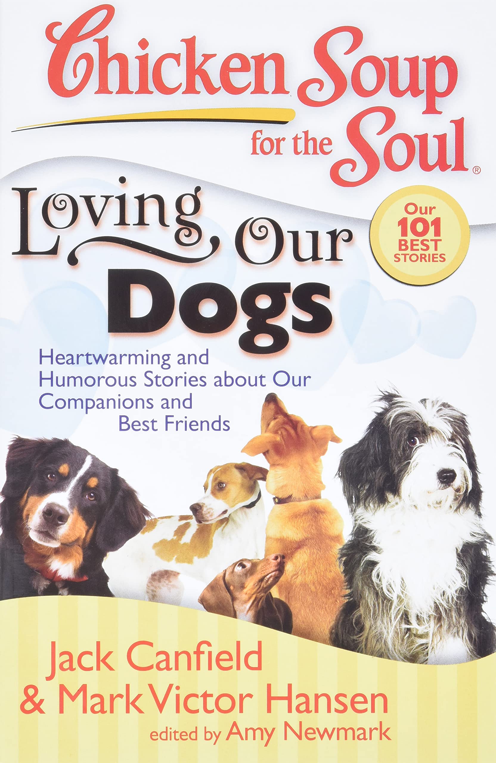 Algopix Similar Product 2 - Chicken Soup for the Soul Loving Our