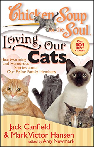 Algopix Similar Product 19 - Chicken Soup for the Soul Loving Our