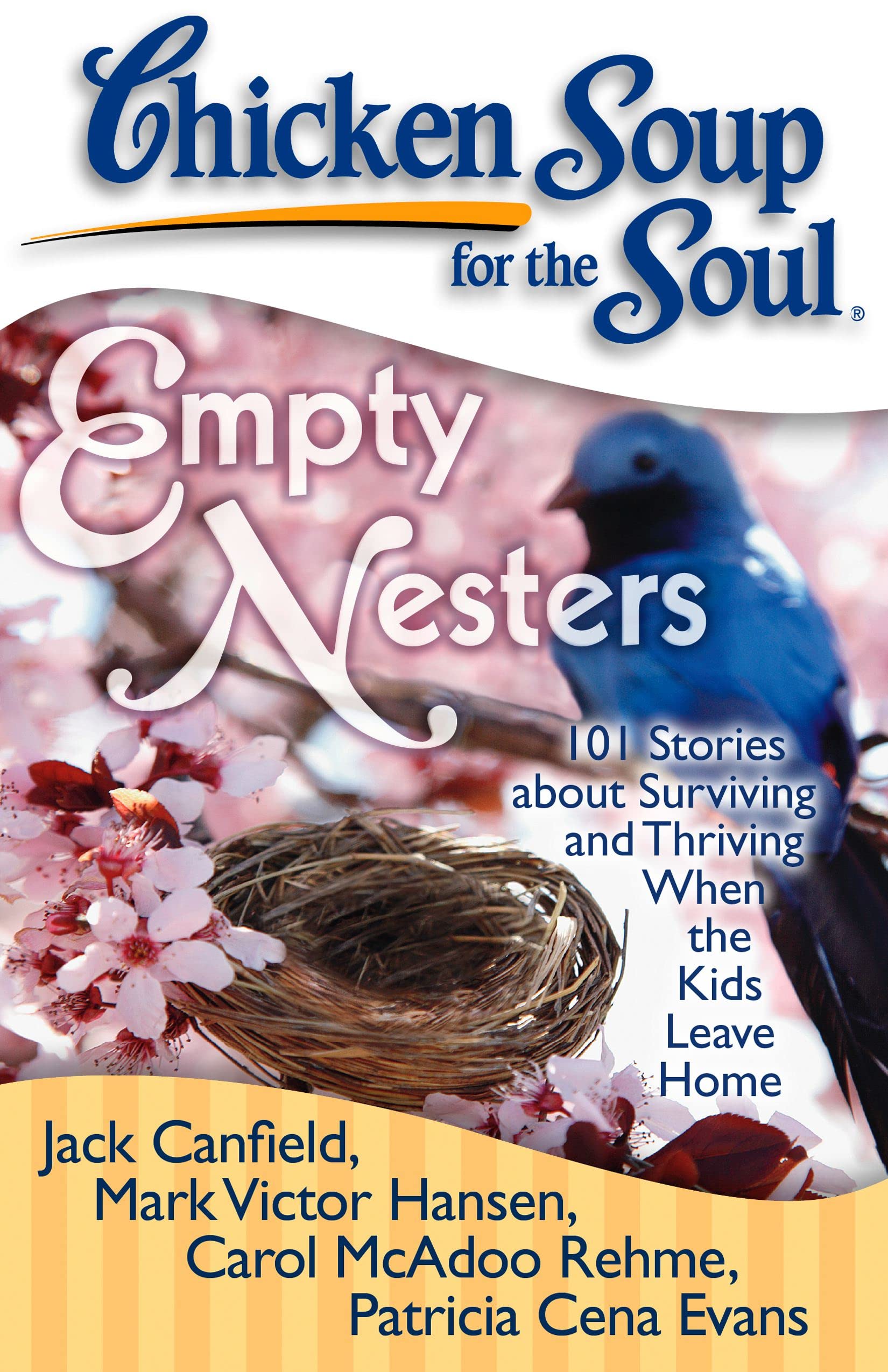 Algopix Similar Product 13 - Chicken Soup for the Soul Empty
