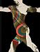 Algopix Similar Product 12 - Merce Cunningham: Common Time
