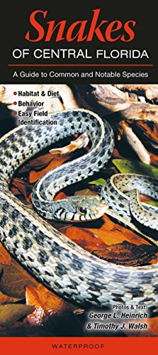 Algopix Similar Product 6 - Snakes of Central Florida A Guide to