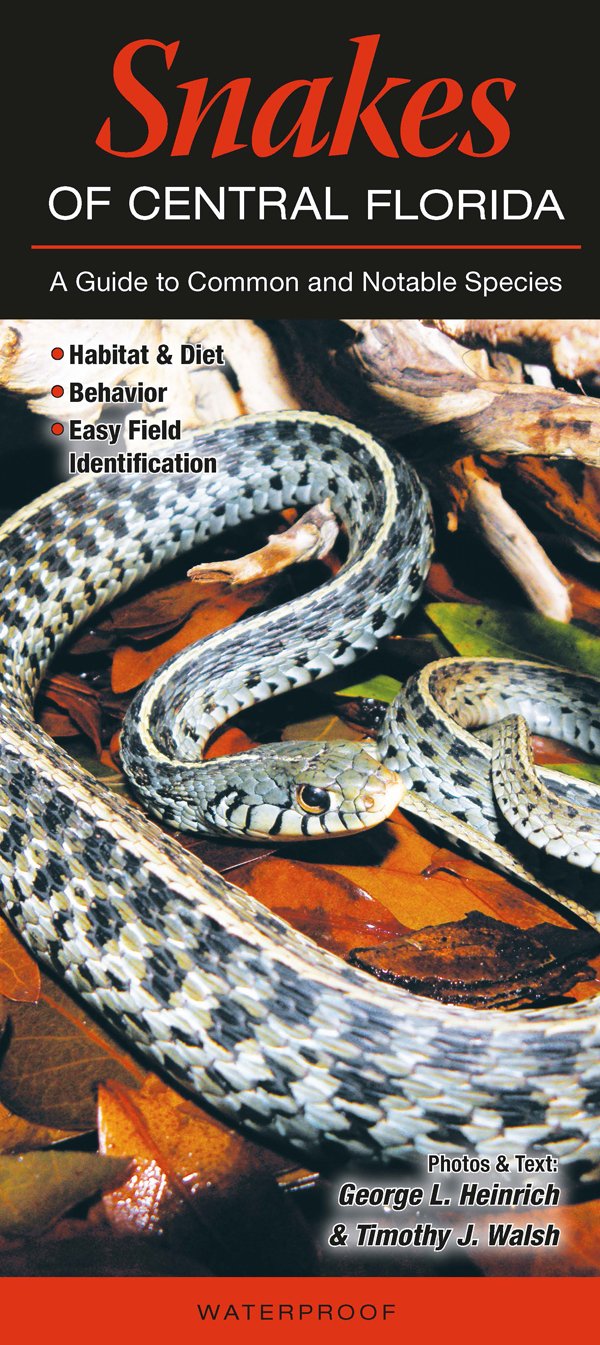Algopix Similar Product 8 - Snakes of Central Florida A Guide to