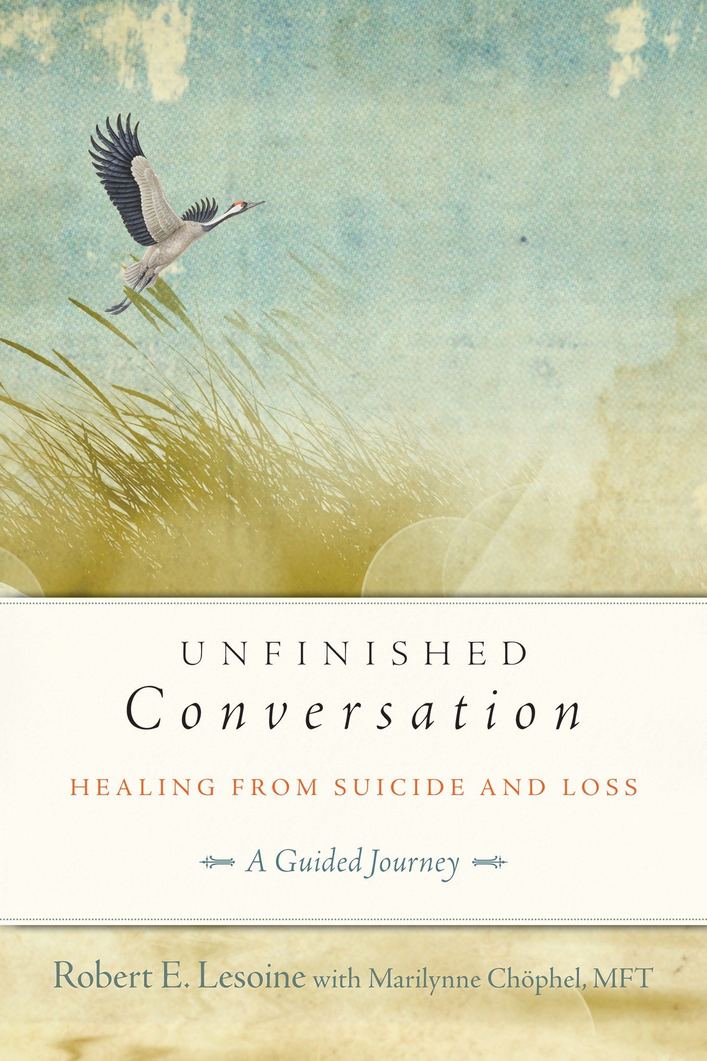 Algopix Similar Product 10 - Unfinished Conversation Healing from
