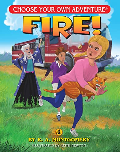 Algopix Similar Product 6 - Fire Choose Your Own Adventure