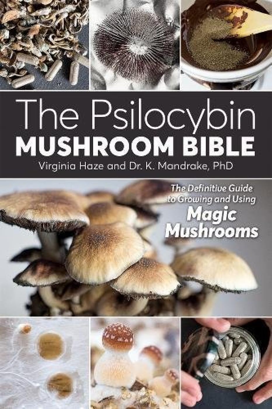 Algopix Similar Product 7 - The Psilocybin Mushroom Bible The