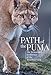 Algopix Similar Product 18 - Path of the Puma The Remarkable