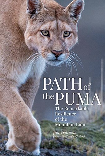 Algopix Similar Product 13 - Path of the Puma The Remarkable